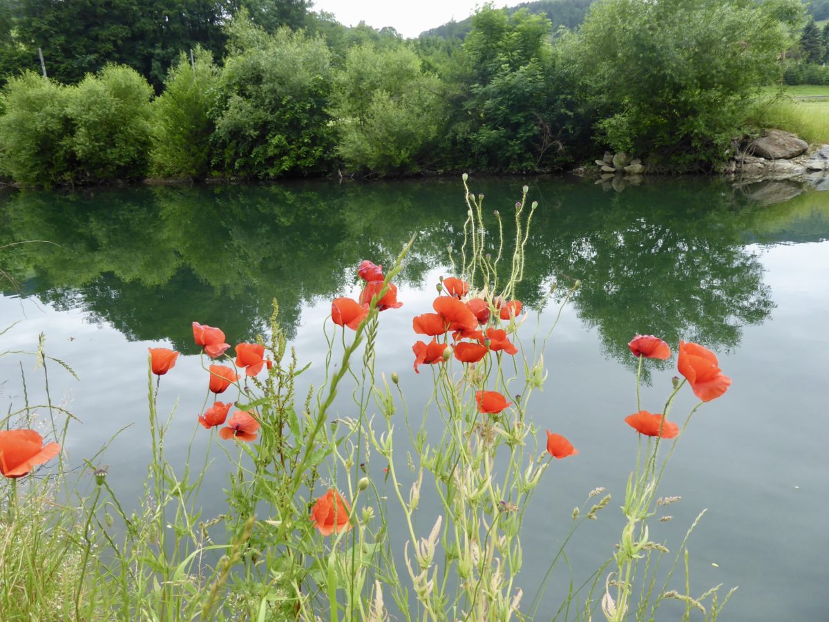 Abkühlung am Fluss, Fest im Prater und Ritt zur Mostalm.